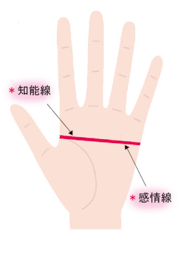 手相 感情線 を学ぼう 2股に枝分かれ 長い短い パターン別図解 Zired