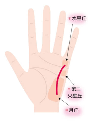 珍しい手相 大特集 レアな線や紋様すべて紹介します Zired