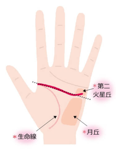 知能線の先端が上向き