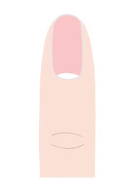 幅の狭い爪の画像