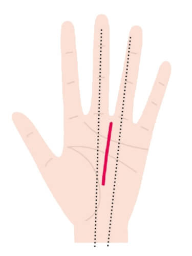 運命線が中指と薬指の間に向かって伸びている