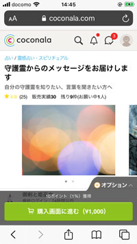 守護霊からのメッセージ鑑定ページ画面