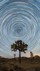 アマゾンの夕空に星の軌道が美しいスタートレイルが映っている写真待ち受け