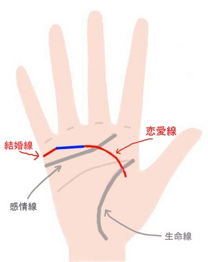 手相で恋愛線を見る 結婚時期 両思い線 成就線 完全ガイド Zired