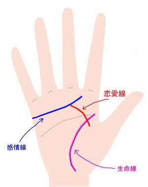 手相で恋愛線を見る 結婚時期 両思い線 成就線 完全ガイド Zired