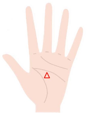 三角紋の位置