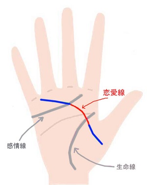 親指の付け根と小指の下の線が繋がっている手相
