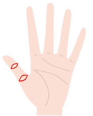 親指の第一関節と第二関節に仏眼相がある人の手相