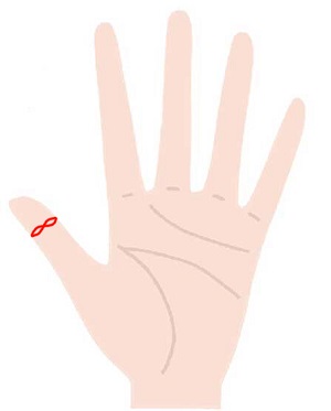 親指の第一関節に仏眼相が2つある人の手相