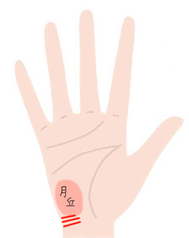 あったらヤバイ手相 最悪の13線 最高の5線 Zired