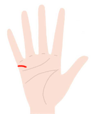 あったらヤバイ手相 最悪の13線 最高の5線 Zired