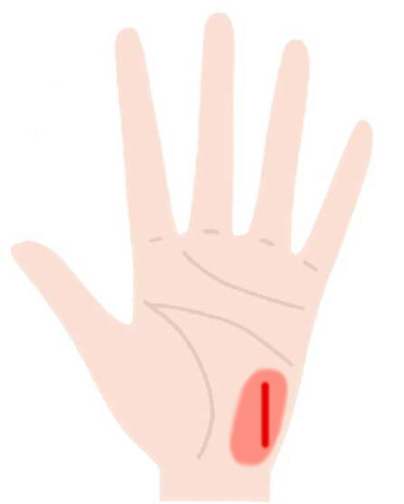 月丘でわかる手相 横線の意味や様々な状態 完全ガイド Zired