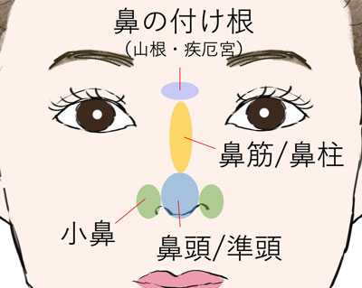 鼻でわかる人相 鼻の形や特徴ごとの性格 観相学 Zired