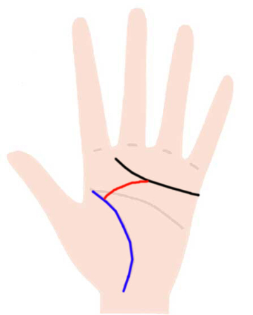 感情線が枝分かれしている手相 二股 複数本 Zired