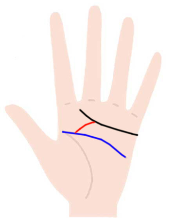 感情線が枝分かれしている手相 二股 複数本 Zired