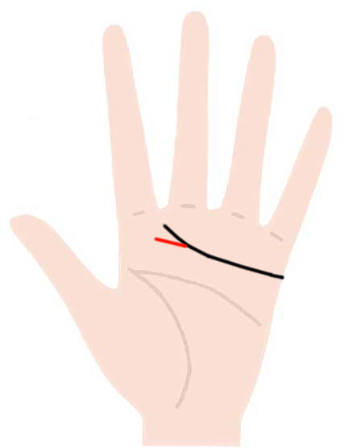 感情線が枝分かれしている手相の基本的な意味を説明したイラスト