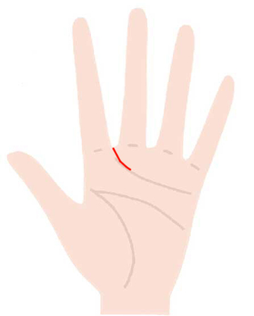 人差し指と中指の間から感情線に沿って中指下まで伸びる線（社交線）