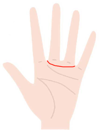 人差し指と中指の間から薬指と小指の間の線（金星帯）