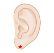 表側の耳たぶ下部分