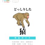 どっしりした猿の特徴【動物キャラ占い】