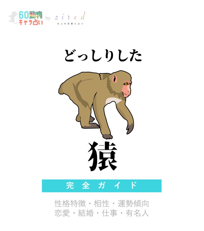 どっしりした猿の特徴【動物キャラ占い】
