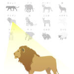動物キャラ占い『ライオン』の性格と相性