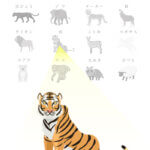 動物キャラ占い『虎』の性格と相性
