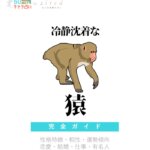 冷静沈着な猿の特徴【動物キャラ占い】