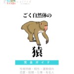 ごく自然体の猿の特徴【動物キャラ占い】