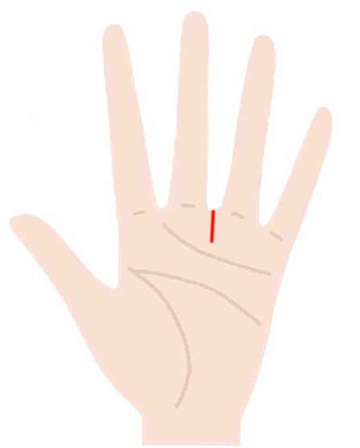 中指と薬指の間の縦線