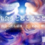 ツインレイと出会ったら最後「ツインレイと出会うと起こること」