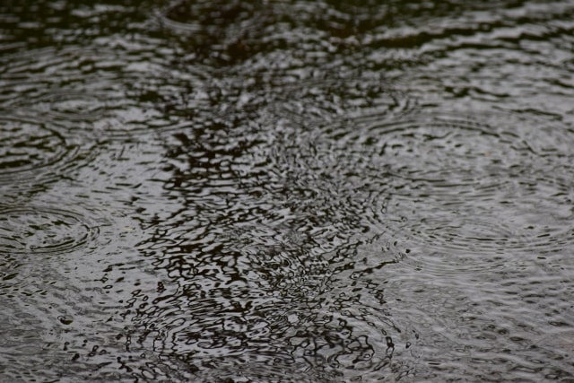 雨