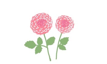ダリアのイラスト