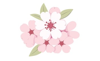 さくらのイラスト