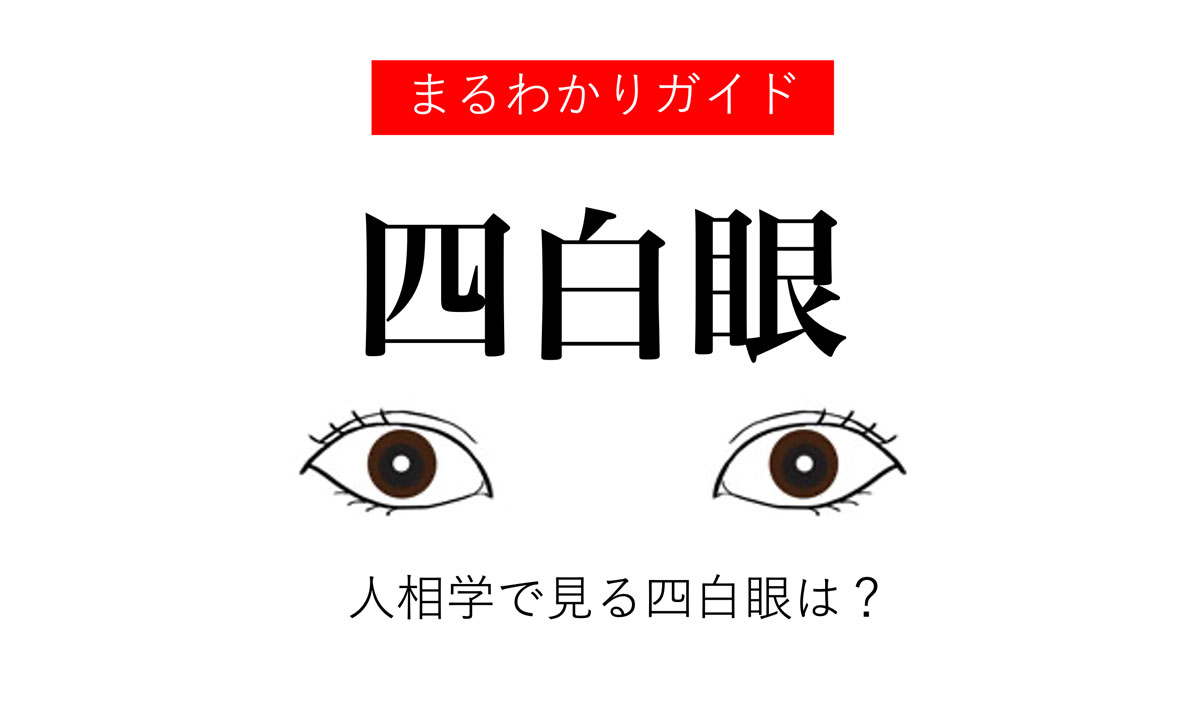 四白眼とは？四白眼の人の特徴【人相学ガイド】