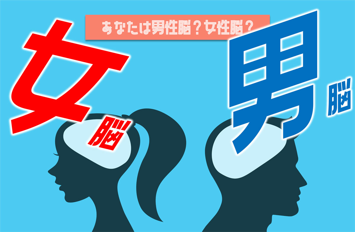 男性脳or女性脳チェック診断