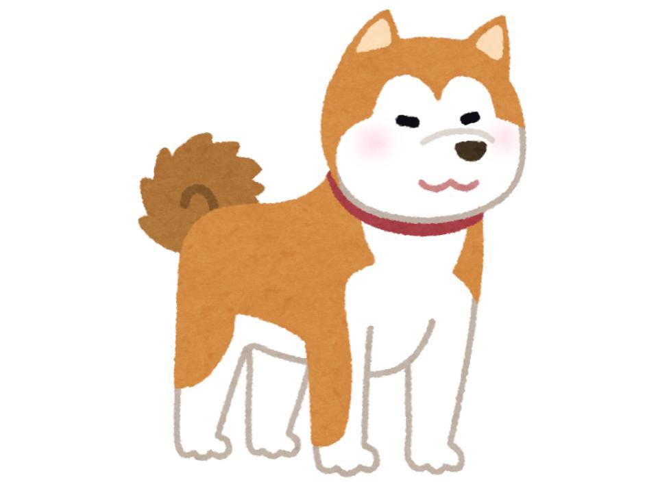 ピュア忠犬タイプ