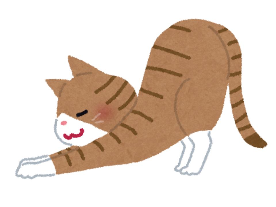 知的でクールなマイペース派