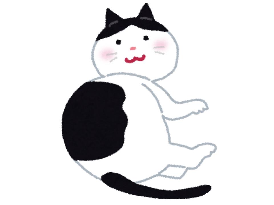 無口で繊細な隠れ甘えん坊