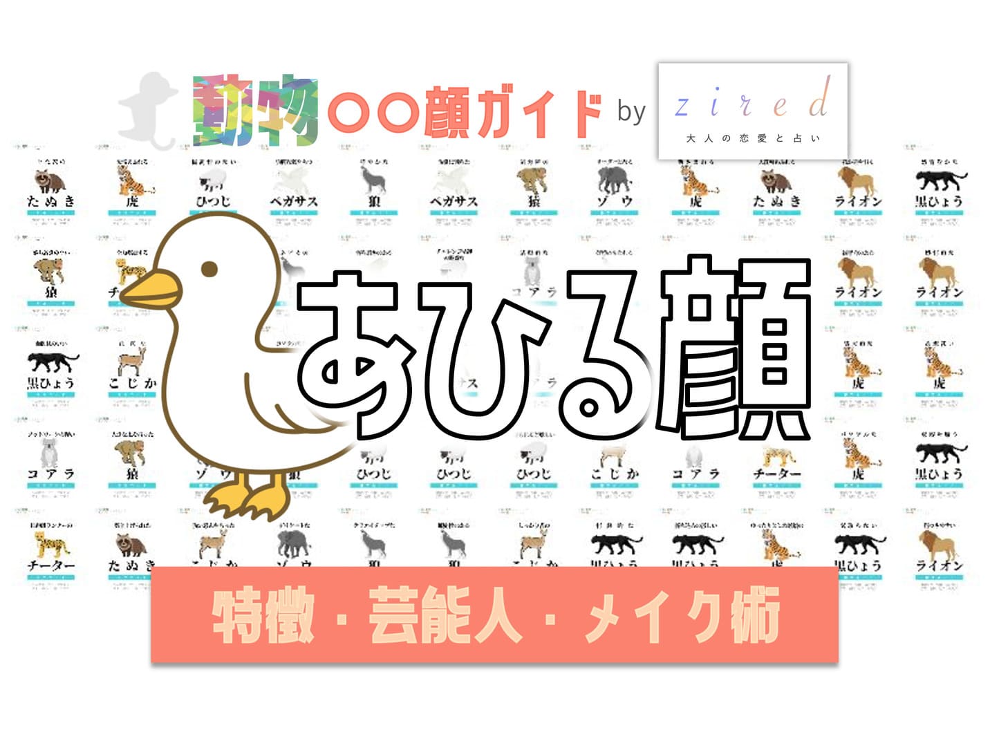 アヒル顔タイプ完全ガイド|特徴・診断・芸能人・メイク術