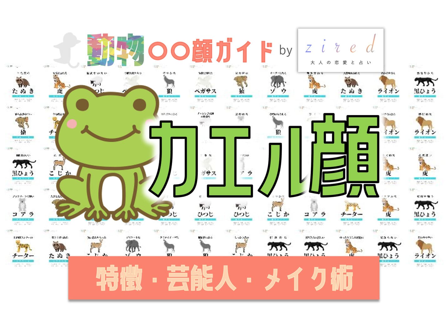 カエル顔タイプ完全ガイド｜特徴・診断・芸能人・メイク術