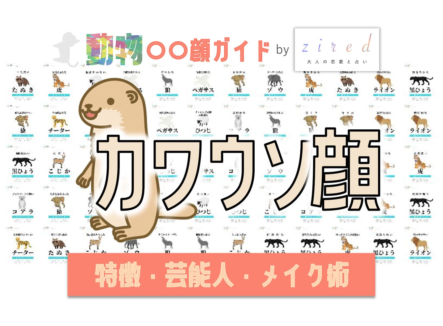 カワウソ顔タイプ完全ガイド｜特徴・診断・芸能人・メイク術