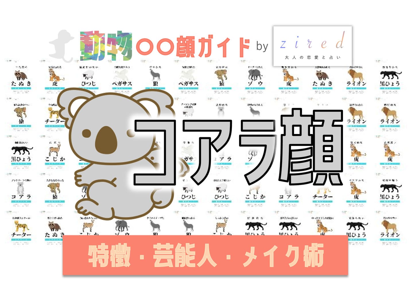 コアラ顔タイプ完全ガイド|特徴・診断・芸能人・メイク術