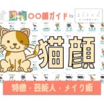 猫顔タイプ完全ガイド｜特徴・診断・芸能人・メイク術