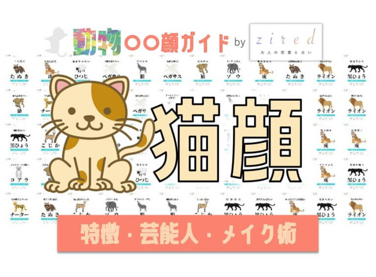 猫顔タイプ完全ガイド｜特徴・診断・芸能人・メイク術 - zired