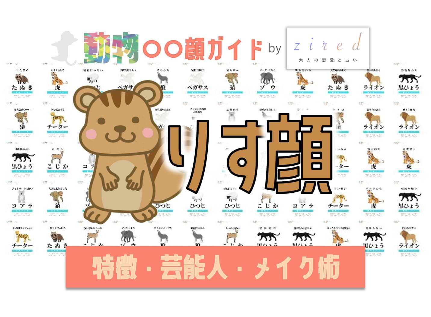 リス顔タイプ完全ガイド｜特徴・診断・芸能人・メイク術