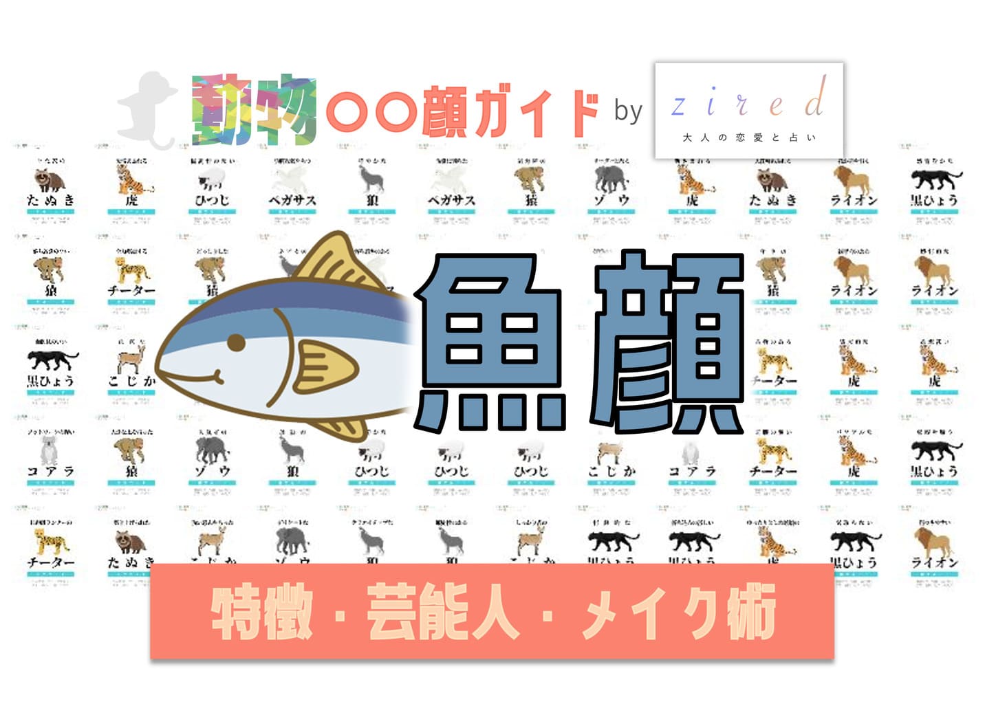 魚顔タイプ完全ガイド｜特徴・診断・芸能人・メイク術