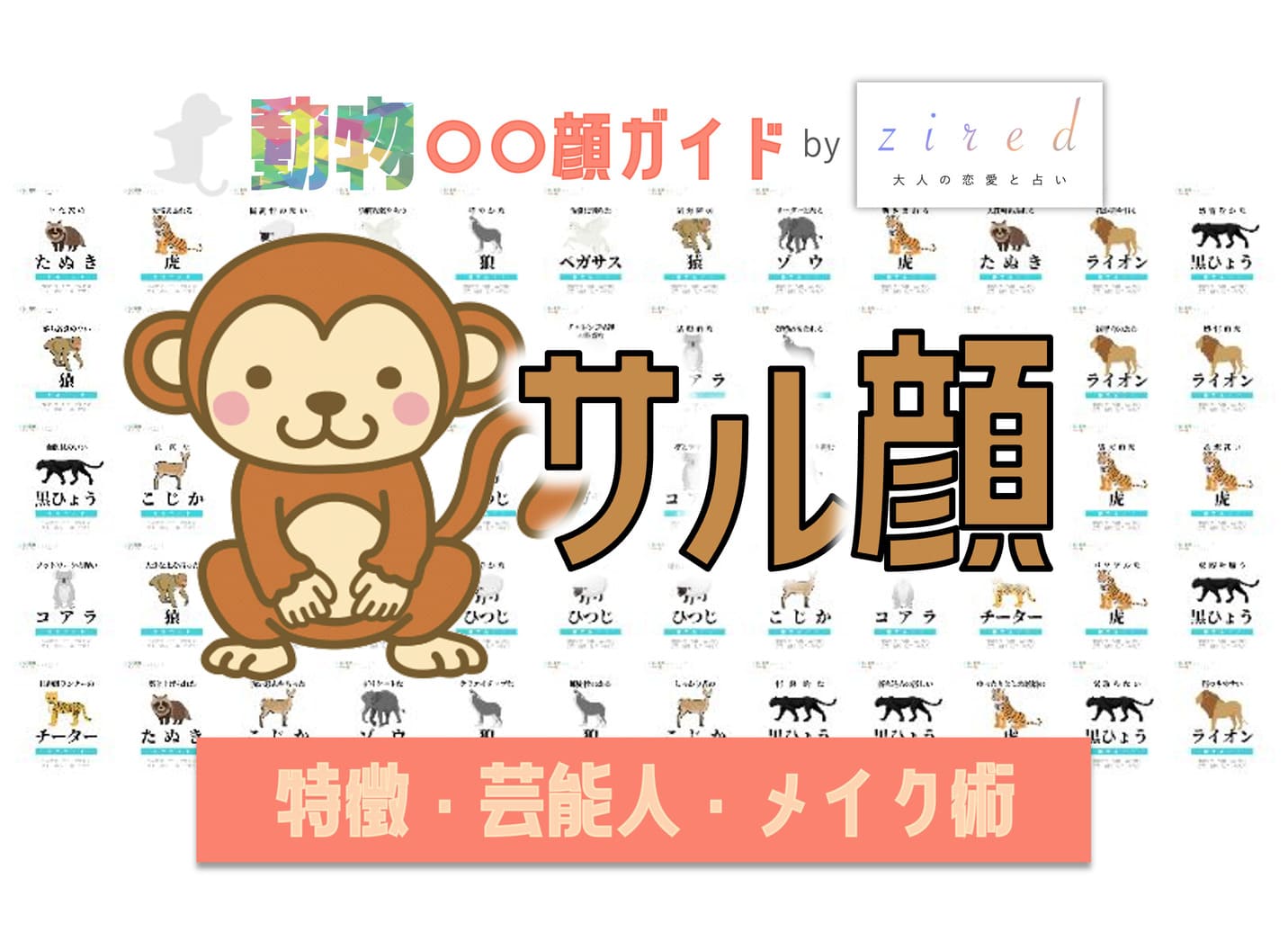 猿顔タイプ完全ガイド｜特徴・診断・芸能人・メイク術