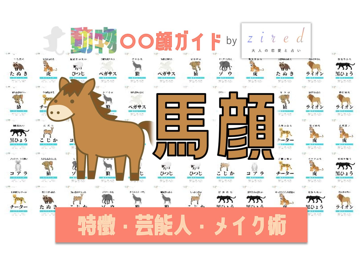 馬顔タイプ完全ガイド|特徴・診断・芸能人・メイク術