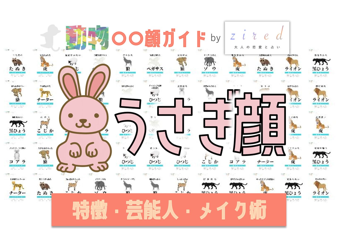 うさぎ顔タイプ完全ガイド|特徴・診断・芸能人・メイク術